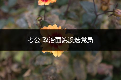 考公 政治面貌没选党员