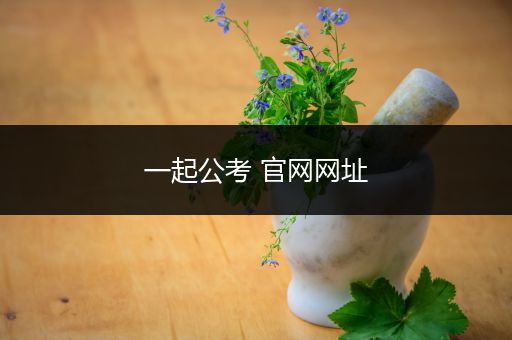 一起公考 官网网址