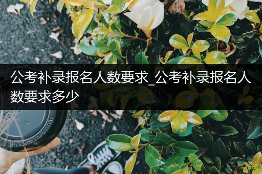 公考补录报名人数要求_公考补录报名人数要求多少