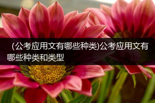 （公考应用文有哪些种类)公考应用文有哪些种类和类型