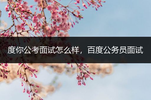 度你公考面试怎么样，百度公务员面试