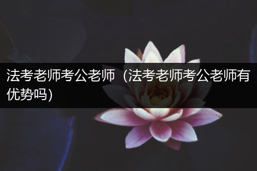 法考老师考公老师（法考老师考公老师有优势吗）