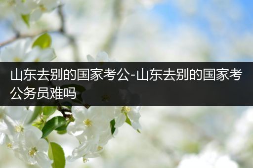 山东去别的国家考公-山东去别的国家考公务员难吗