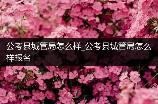 公考县城管局怎么样_公考县城管局怎么样报名