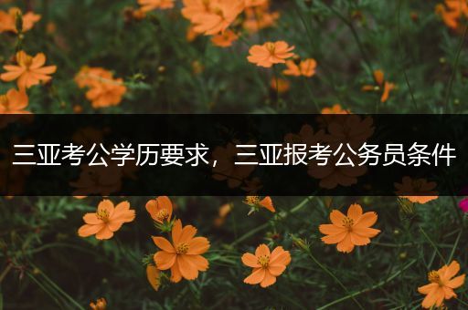 三亚考公学历要求，三亚报考公务员条件