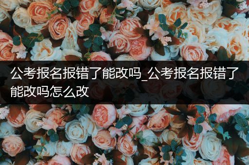 公考报名报错了能改吗_公考报名报错了能改吗怎么改