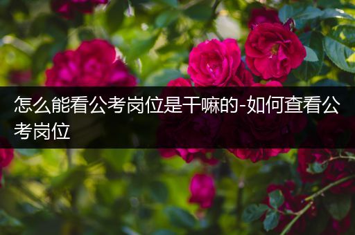 怎么能看公考岗位是干嘛的-如何查看公考岗位