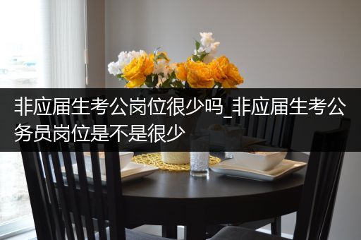 非应届生考公岗位很少吗_非应届生考公务员岗位是不是很少