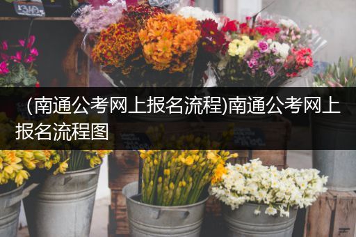 （南通公考网上报名流程)南通公考网上报名流程图