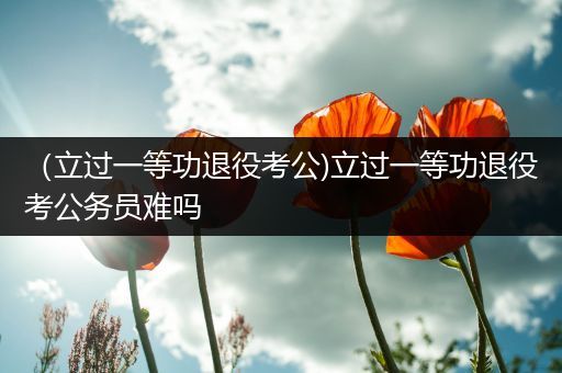 （立过一等功退役考公)立过一等功退役考公务员难吗