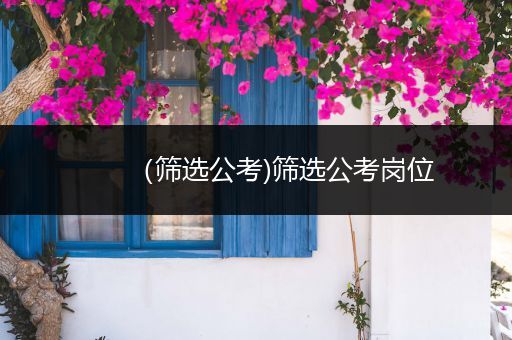 （筛选公考)筛选公考岗位