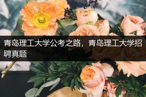 青岛理工大学公考之路，青岛理工大学招聘真题