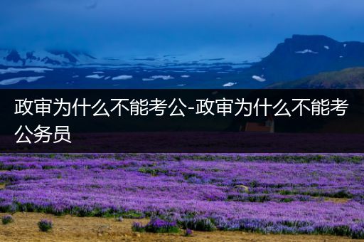 政审为什么不能考公-政审为什么不能考公务员