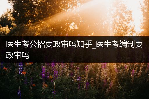 医生考公招要政审吗知乎_医生考编制要政审吗