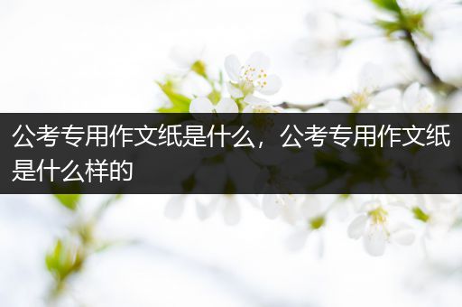 公考专用作文纸是什么，公考专用作文纸是什么样的