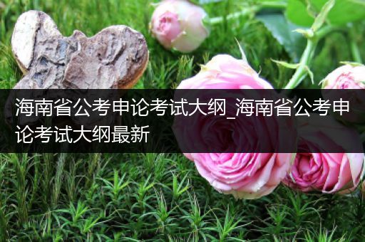 海南省公考申论考试大纲_海南省公考申论考试大纲最新