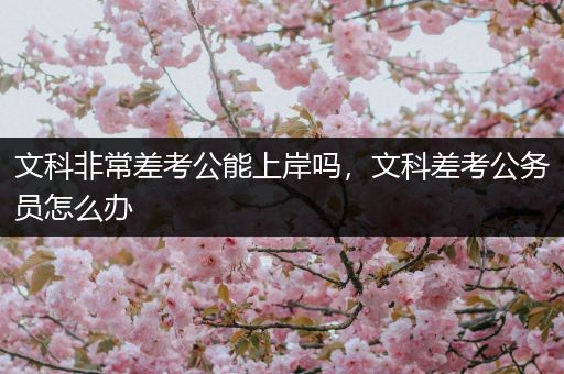 文科非常差考公能上岸吗，文科差考公务员怎么办