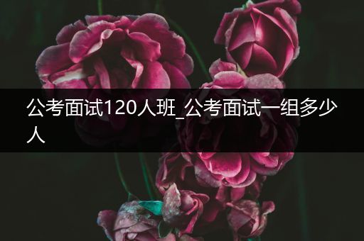 公考面试120人班_公考面试一组多少人