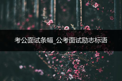 考公面试条幅_公考面试励志标语