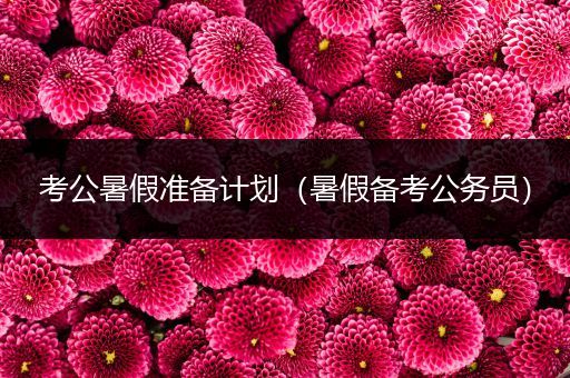考公暑假准备计划（暑假备考公务员）