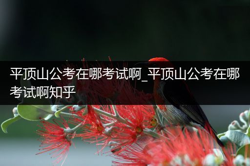 平顶山公考在哪考试啊_平顶山公考在哪考试啊知乎