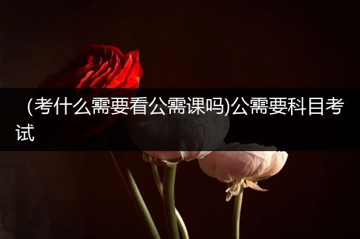 （考什么需要看公需课吗)公需要科目考试