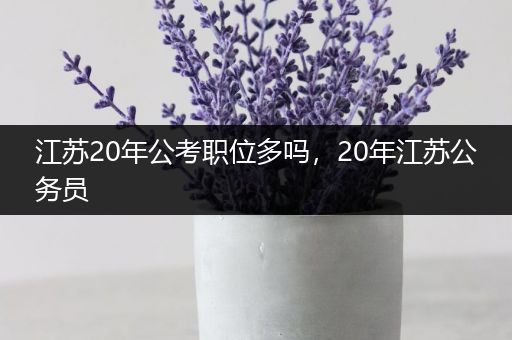 江苏20年公考职位多吗，20年江苏公务员