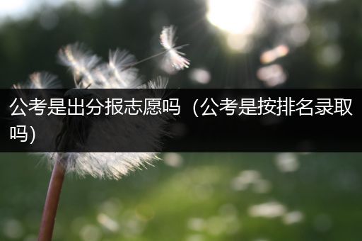 公考是出分报志愿吗（公考是按排名录取吗）