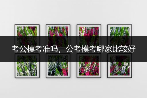 考公模考准吗，公考模考哪家比较好