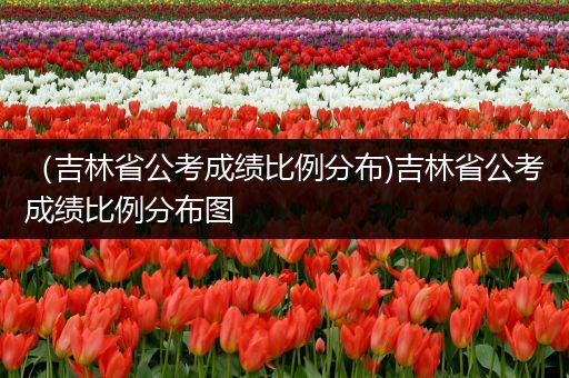 （吉林省公考成绩比例分布)吉林省公考成绩比例分布图