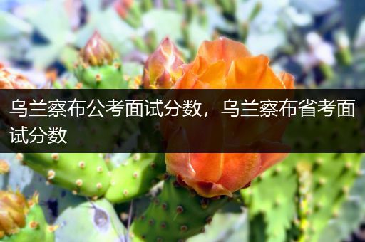 乌兰察布公考面试分数，乌兰察布省考面试分数