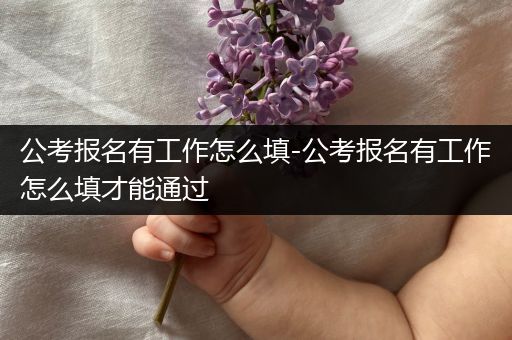 公考报名有工作怎么填-公考报名有工作怎么填才能通过