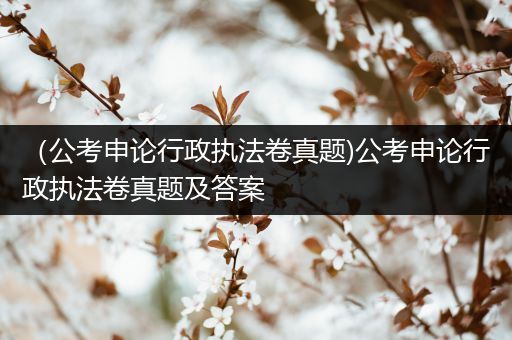 （公考申论行政执法卷真题)公考申论行政执法卷真题及答案