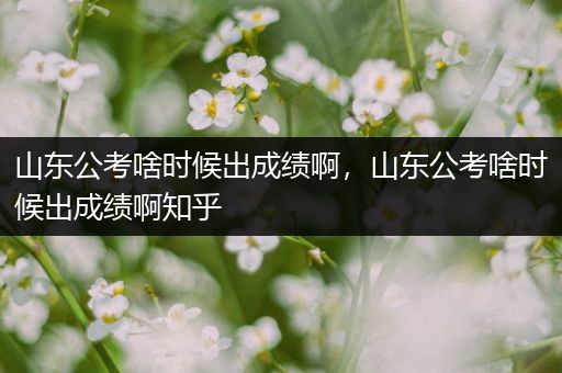 山东公考啥时候出成绩啊，山东公考啥时候出成绩啊知乎