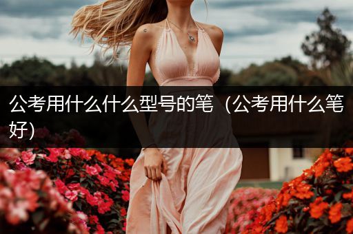 公考用什么什么型号的笔（公考用什么笔好）