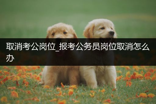 取消考公岗位_报考公务员岗位取消怎么办