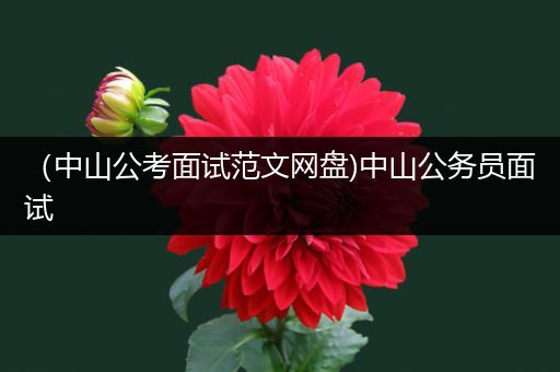 （中山公考面试范文网盘)中山公务员面试