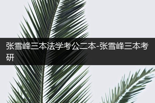 张雪峰三本法学考公二本-张雪峰三本考研