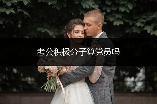 考公积极分子算党员吗