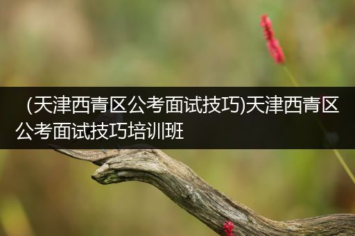 （天津西青区公考面试技巧)天津西青区公考面试技巧培训班