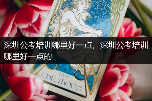 深圳公考培训哪里好一点，深圳公考培训哪里好一点的