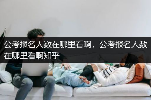 公考报名人数在哪里看啊，公考报名人数在哪里看啊知乎