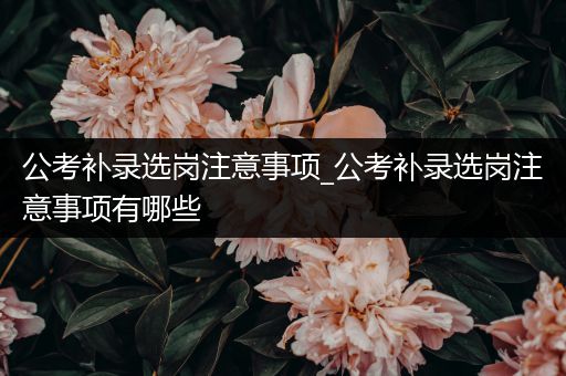公考补录选岗注意事项_公考补录选岗注意事项有哪些
