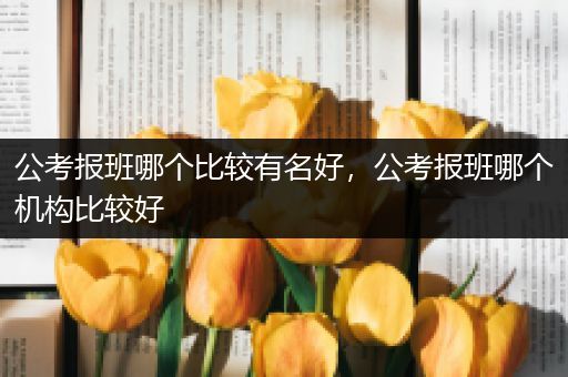 公考报班哪个比较有名好，公考报班哪个机构比较好