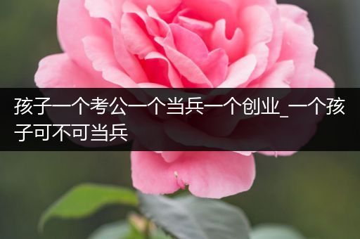 孩子一个考公一个当兵一个创业_一个孩子可不可当兵