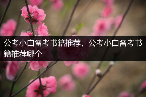 公考小白备考书籍推荐，公考小白备考书籍推荐哪个