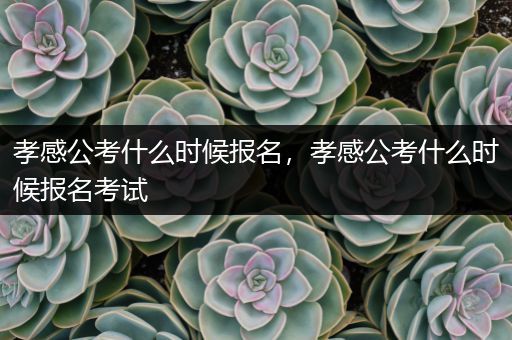 孝感公考什么时候报名，孝感公考什么时候报名考试