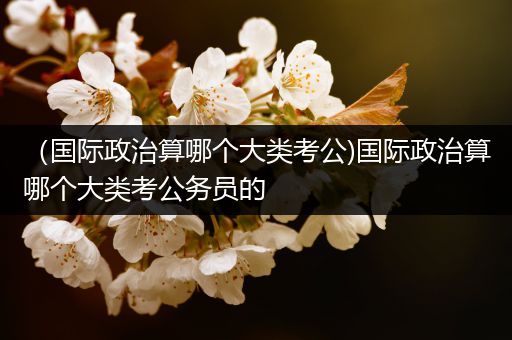 （国际政治算哪个大类考公)国际政治算哪个大类考公务员的