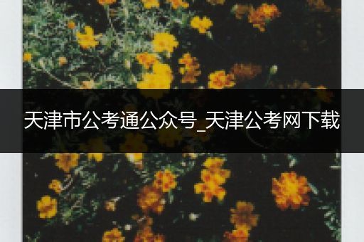 天津市公考通公众号_天津公考网下载