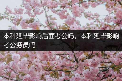 本科延毕影响后面考公吗，本科延毕影响考公务员吗